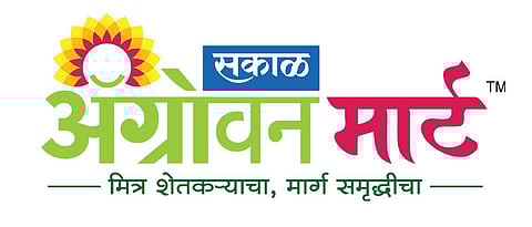 बारा ॲग्रोवन मार्टसचे राज्यात आज उद्घाटन