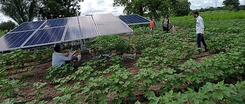 Solar farming