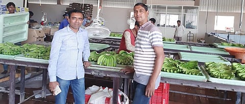Banana export