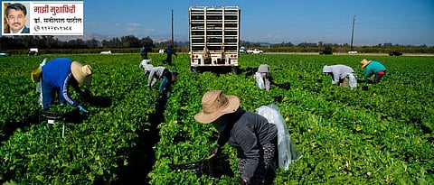 थायलंडमध्ये अत्याधुनिक पद्धतीने निर्यातक्षम शेती करणारा शेतकरी आणि त्याच वेळा सामान्य शेतकरी असे दोन्ही वर्ग दिसतात. दोघांच्याही समस्या थोड्या फार फरकाने सारख्याच असल्याचे दिसून येते.