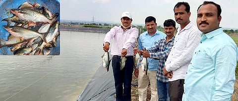विक्रीसाठी तयार मासे दाखवताना अभिजित दळवी, संजय वागसकर. सोबत तालुका कृषी अधिकारी दीपक सुपेकर, नंदकुमार घोडके.