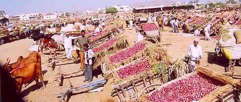 Onion Auction