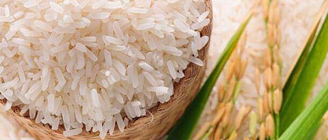 Basamati Rice Export