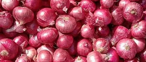 Summer onion productivity will decrease per acre