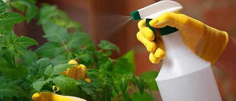 Fungicide