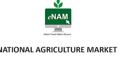 eNAM