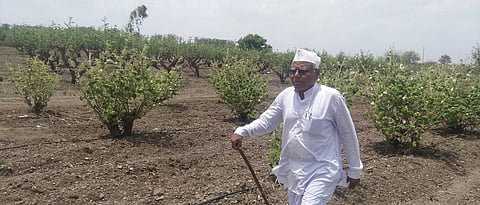 हणमंत दुधगी यांचे वय ७६ वर्षे असूनही शेतात काम करण्याचा उत्साह तरूणालाही लाजवेल असा असतो.