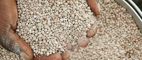 No increase in fertilizer prices