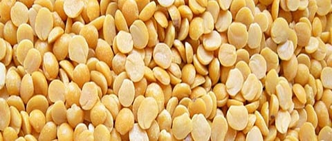 संग्रहित छायाचित्र