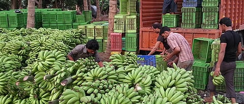 Banana Market