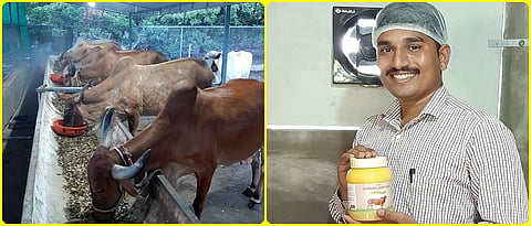 Raising of Gir cows and the Ghee produced from their milk