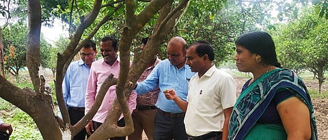 बुरशीनाशकाची आळवणी फायदेशीर : डॉ. पाटील