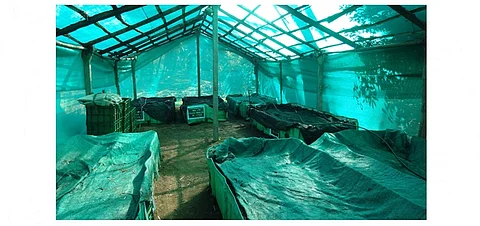 नारळाच्या झावळ्यांपासून खतनिर्मिती