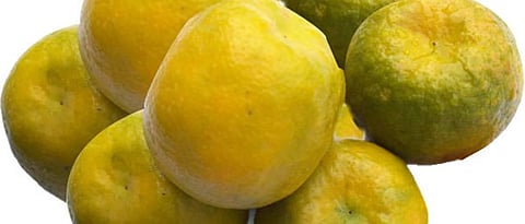 Fungi, orange fruit due to lack of nutrients