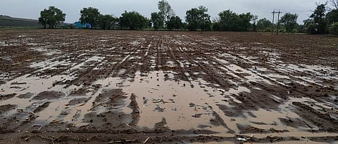 Marathwada Rain