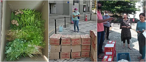 सोसायट्यांमध्ये थेट विक्रीतून नफा; इंदापुरातील ‘पीएच प्रोग्रेसिव्ह फार्मर प्रोड्यूसर' कंपनीचा उपक्रम