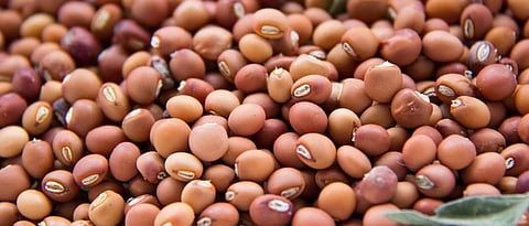 Extension of Tur imports