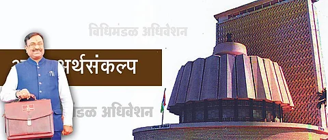 सिंचन, दुग्ध व्यवसायासाठी भरीव तरतूद नाही : प्रतिक्रिया