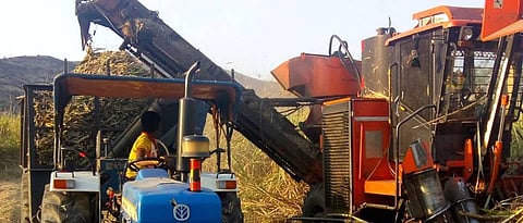 ऊस तोडणीसाठी यंत्राचा वापर केला जातो.