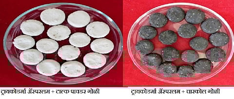 ट्रायकोडर्मा वितरणाची नावीन्यपूर्ण प्रणाली