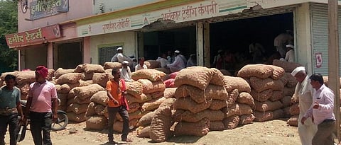 Bhusar auction begins in Barshi market committee