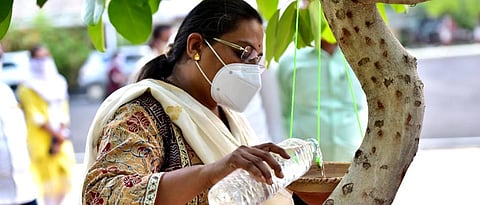 Provide water for wildlife in summer: Minister Yashomati Thakur