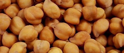 Chana Seeds