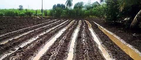 Irrigation Water