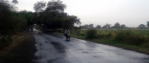 Rain
