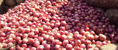 Closed week market Onion growers hit