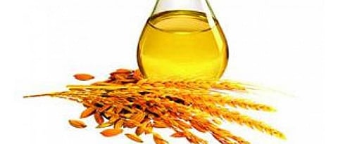 भात कोंड्यापासून तेल निर्मिती