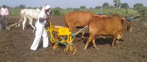 Rabi Sowing