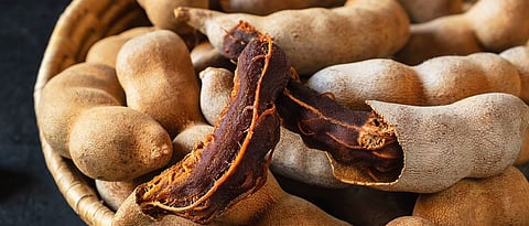 value added products of tamarind
