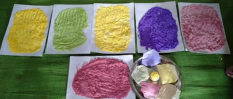 Natural colors production business for Holi