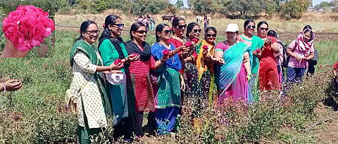 वडजी गावातील गुलाब शेतीचा आनंद लुटण्यासाठी शहरी नागरिकही येथे येतात.