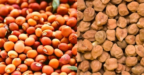 सरकार तूर, हरभऱ्याचे उत्पादन वाढविणार