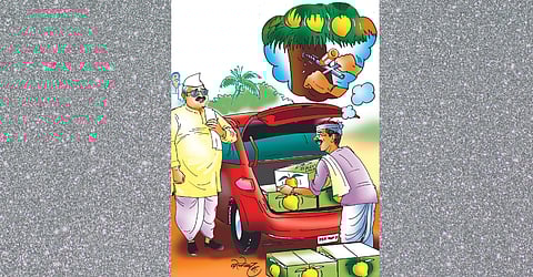 Can it be treated for you?