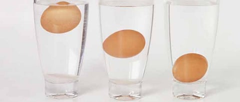 Adulteration In Eggs