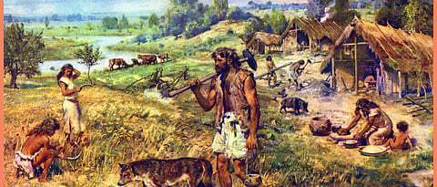 History of agriculture in India