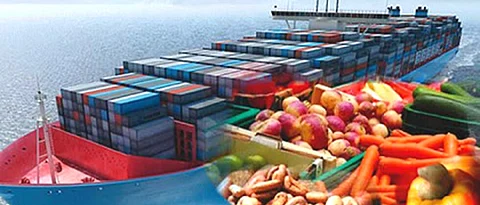 agricultural export