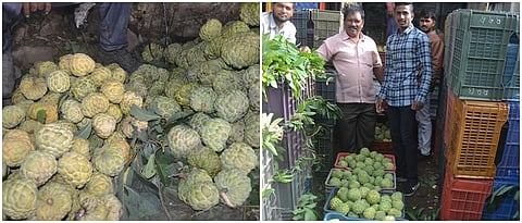 सासवड, पुरंदर भागातील सीताफळे दर्जेदार असल्याने त्यांचा चांगला दर मिळतो.