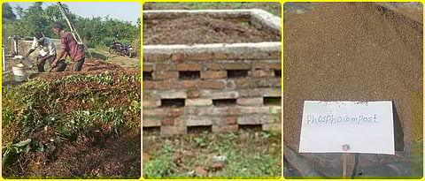 शाश्वत उत्पादनासाठी सेंद्रिय खतांचे व्यवस्थापन