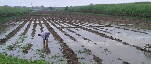 गारपीठ, पावसाने कोट्यवधीचे नुकसान