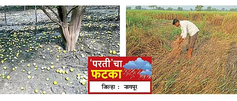 crop loss