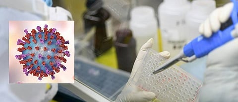 अमेरिकेत चौघांवर लसीची चाचणी; संशोधनातील पहिला टप्पा वेगात