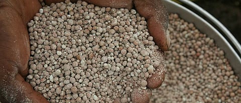Fertilizers