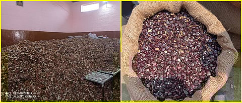 Tamarinds and their seeds stored after auction
