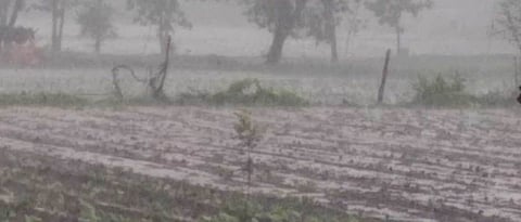 Rain