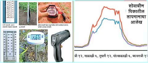 काटेकोर शेतीसाठी पिकातील तापमानाचा अभ्यास आवश्यक
