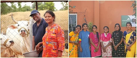 परदेशी कंपन्या उतरल्या पारंपरिक पत्रावळी व्यवसायात